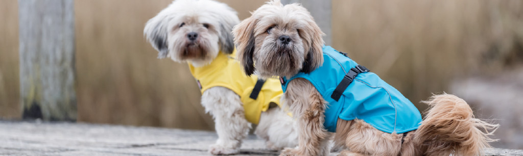maak het plat vijver Mier Hondenkleding & hondenjasjes in de winkel | Dierenspeciaalzaak Vela