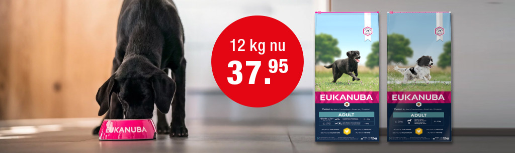 Hond rennen in het water naast een strandje met daarnaast het logo van Eukanuba
