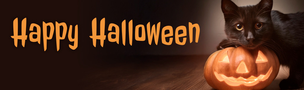 Kat op een pompoen in halloween style