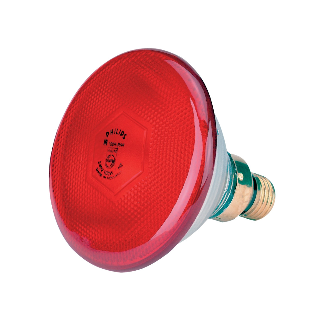 Lamp 175 W rood Philips spaar