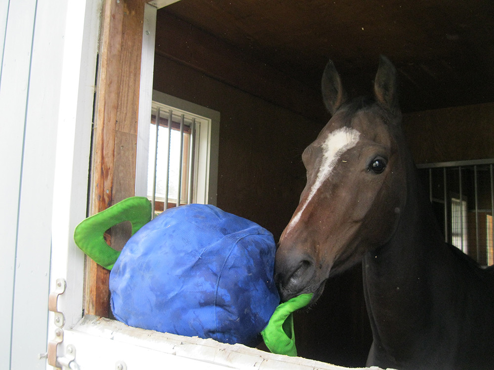 Jolly Tug Ball paard 35 cm