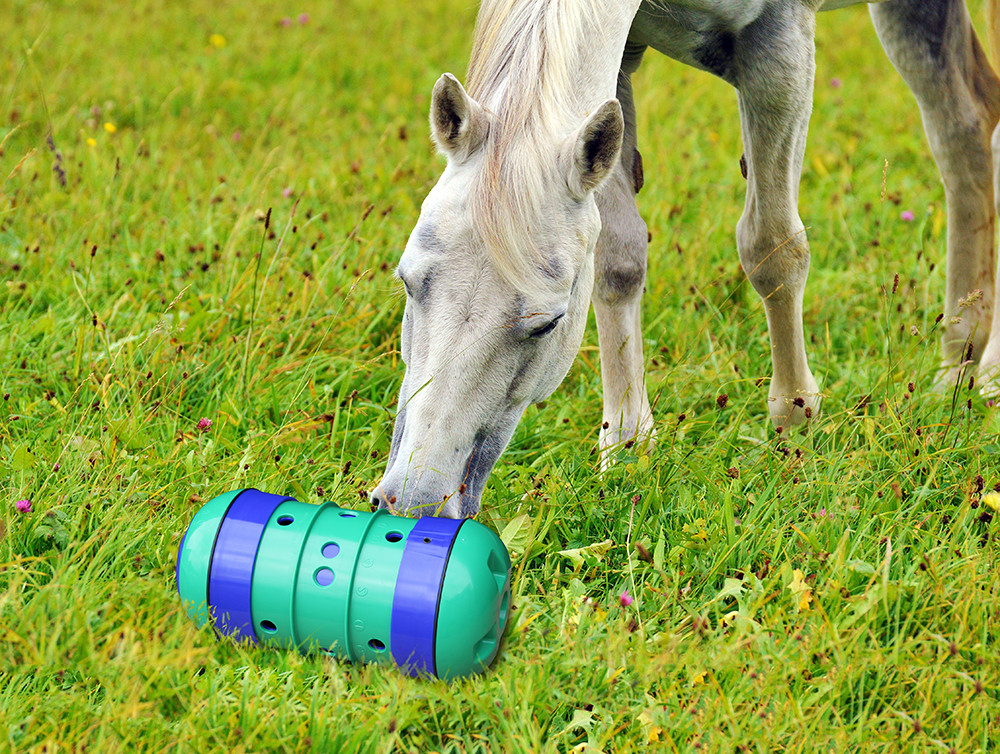 Pipolino voerdispenser Paard/Pony > 250 kg groen/blauw