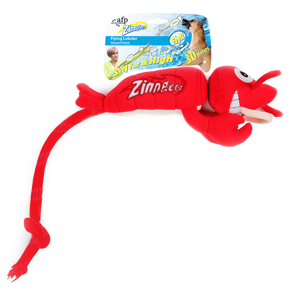 All for Paws Chill Out Zinngers Flying Frog