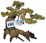 superfish-bonsai-driftwood-medium.jpg