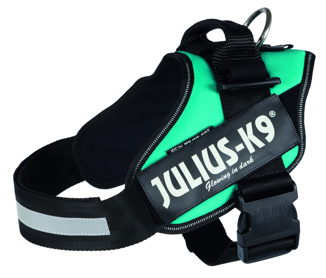 Julius K9 IDC harness petrol