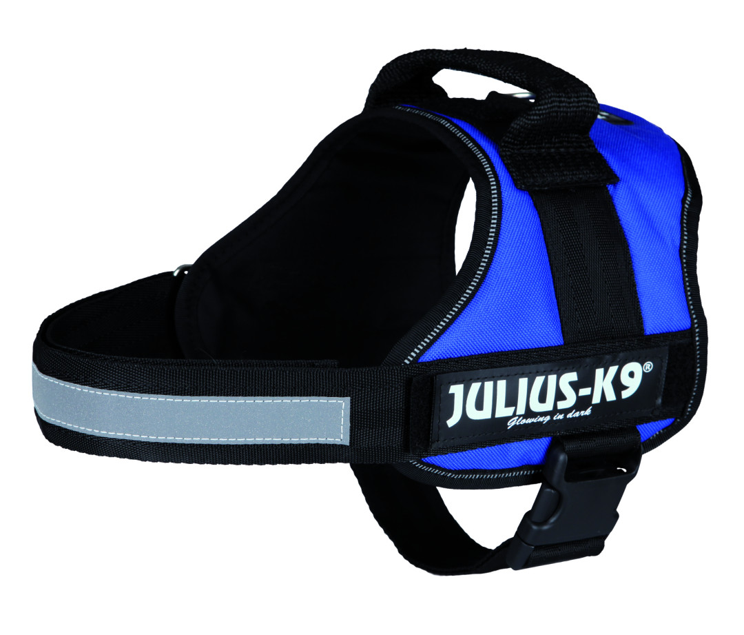 Julius K9 Powerharness blue
