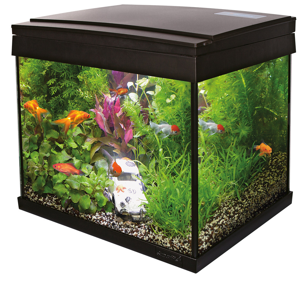 SuperFish aquarium Aqua 20 LED Goldfish kit