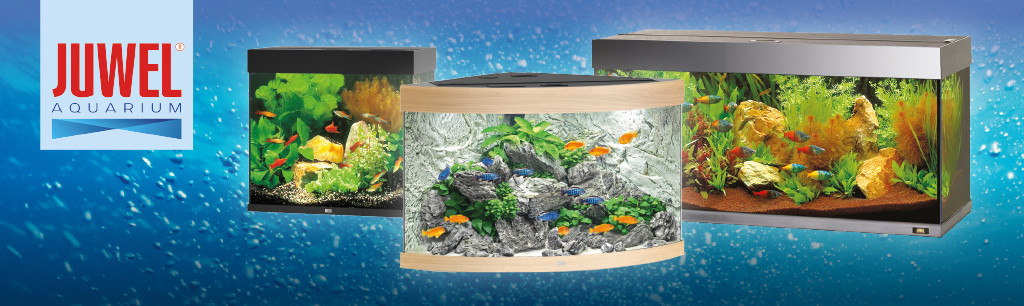 Juwel aquarium en aquariumbenodigdheden | Dier & Tuin