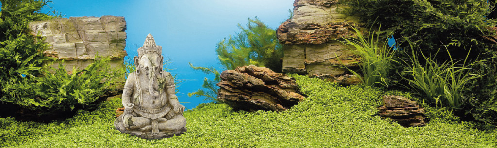 De leukste aquarium decoratie onze winkel | Dierenspeciaalzaak Vela