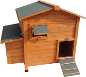 Assortiment Ruiter Dier Zeeman