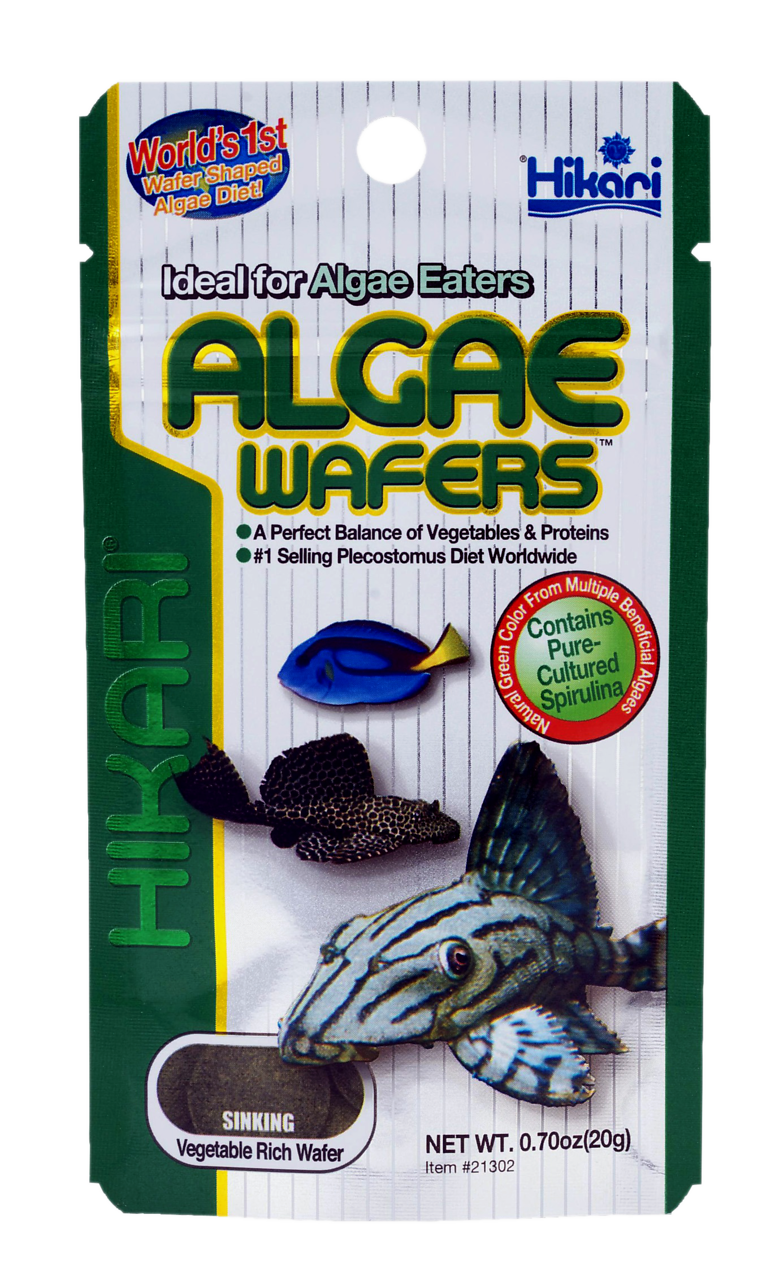 Hikari Algae Wafers <br>20 gr