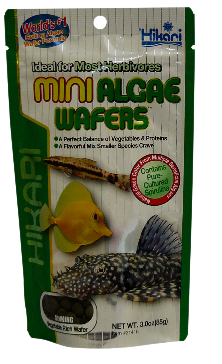 Hikari Mini Algae Wafers 85 gr