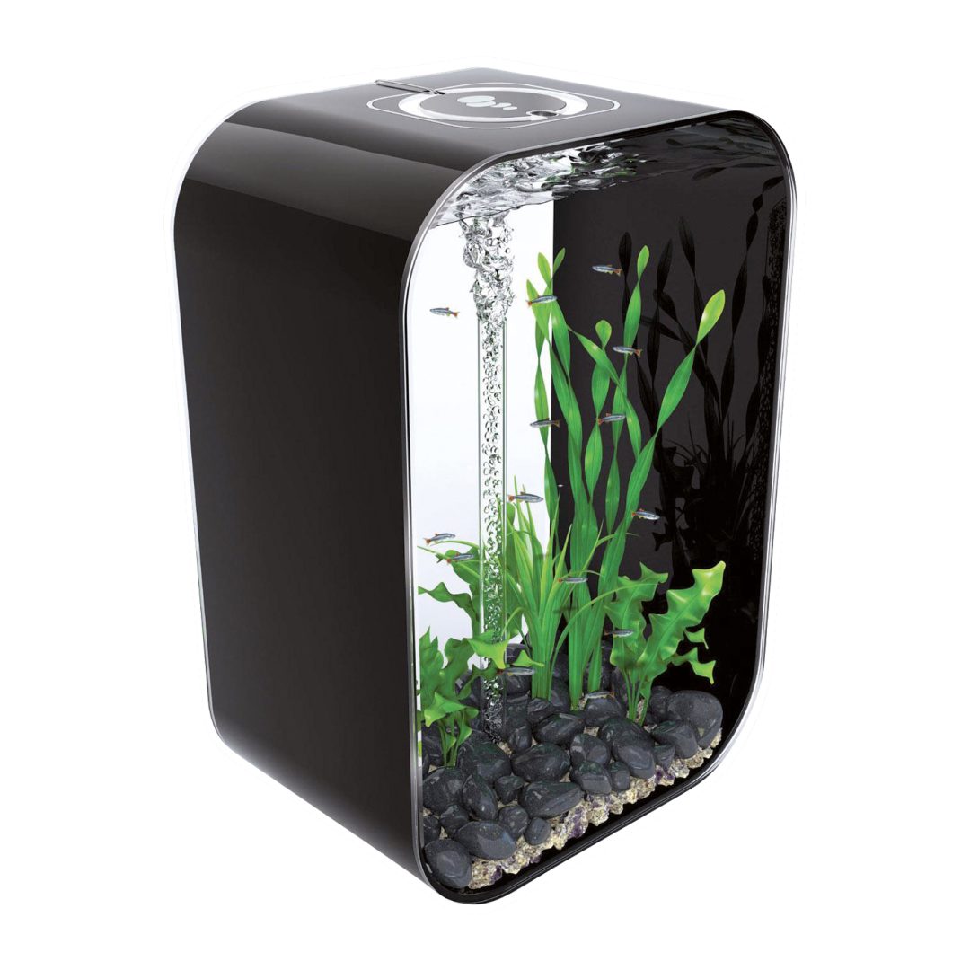 BiOrb Amazon Root S – Decorative Aquarium Wood Sculpture For Fish Tanks (9x8x13 Cm)