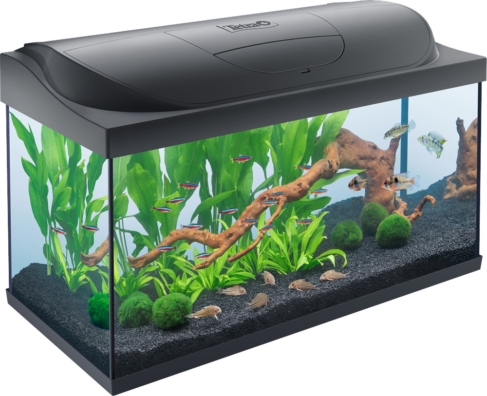 Tetra aquarium Starter Line LED 105 ltr | Dierenwereld XL
