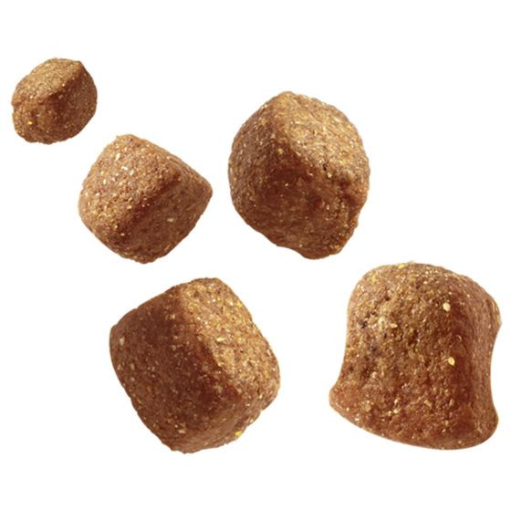 Pedigree Tasty Minis Chewy Cubes 130 gr