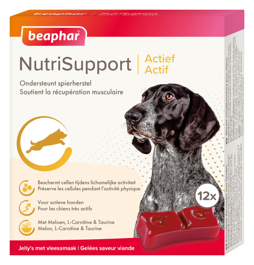 Beaphar NutriSupport Actief hond 12 st