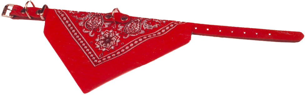 Halsband met zakdoek rood