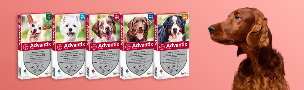 Zorg Analist Verbinding verbroken Advantix voor de hond kopen? | Animal Center