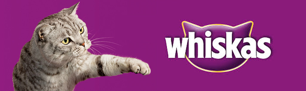 Verwachten Voorverkoop serveerster Whiskas kattenvoer kopen? Bezoek de winkel | Hoodie Dier XL