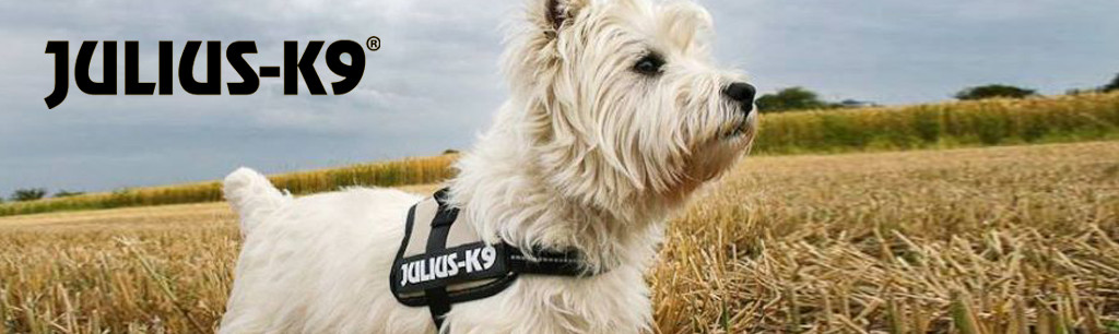 ongerustheid Verduisteren Eervol K9 hondentuig kopen? Bezoek onze winkel | Diebo Huisdierwereld
