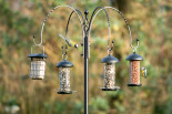 940790119-Bird-Feedingstation-Tambora-DV-0645.jpg