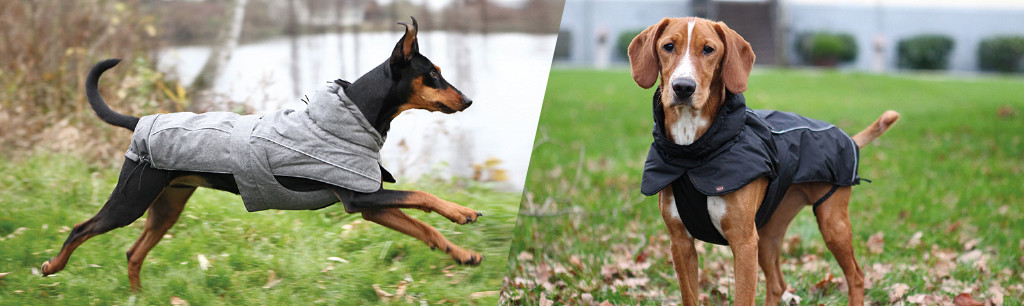 Schijnen solide rand Hondenkleding & hondenjasjes in de winkel | Fauna Diertotaal