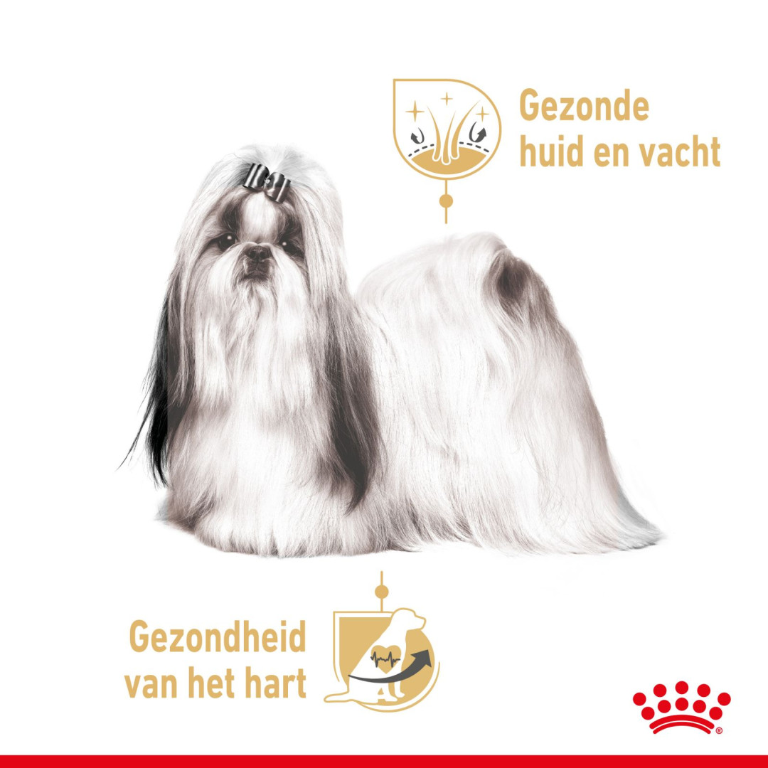 Royal Canin hondenvoer Shih Tzu Adult 12 x 85 gr