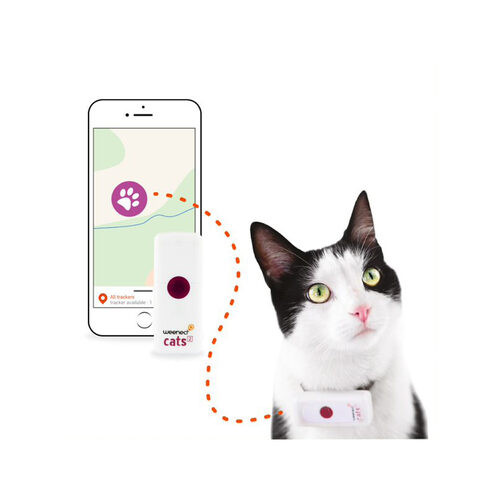 Weenect GPS Tracker voor de kat