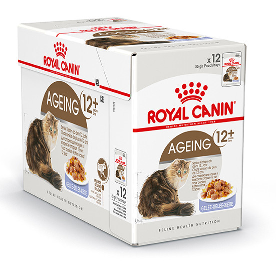 Royal Canin kattenvoer Ageing 12+ in Jelly <br>12 x 85 gr