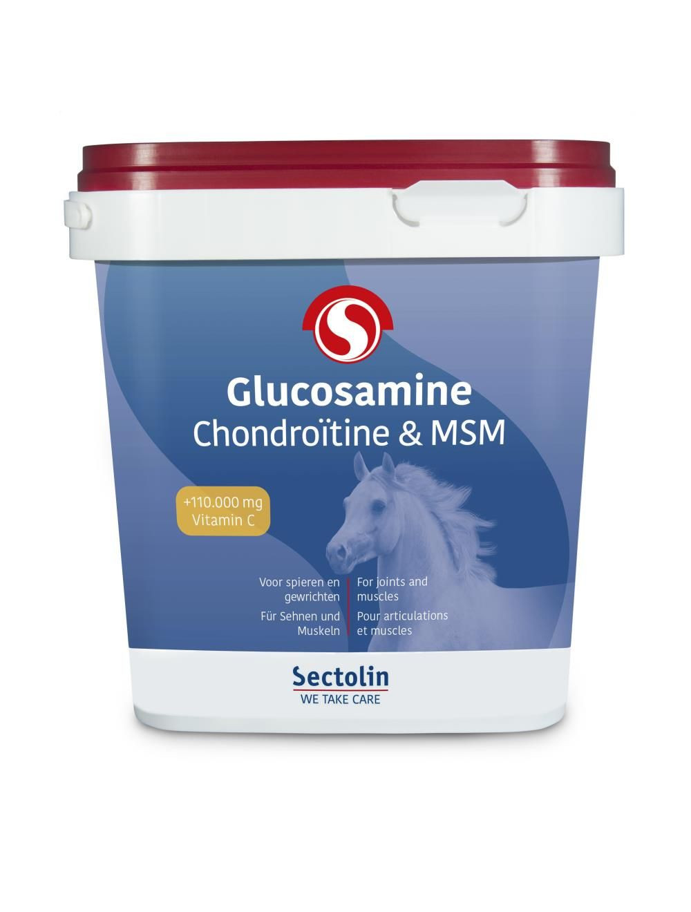 Equivital Glucosamine, Chondroïtine & MSM <br>1 kg