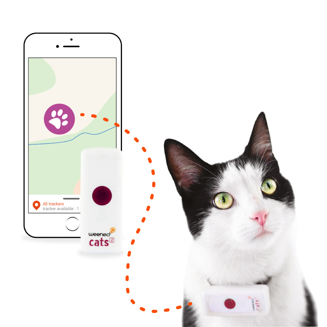 Weenect Cats 2 GPS Tracker