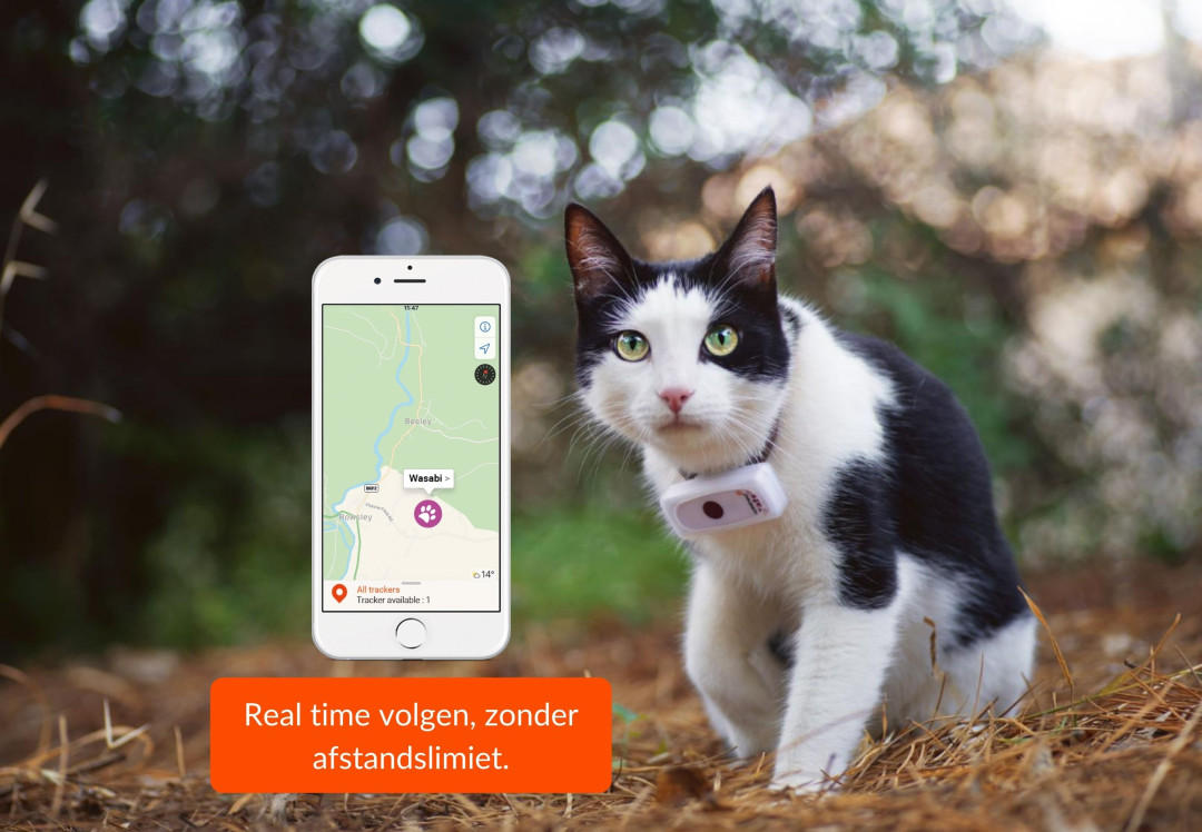 Weenect Cats 2 GPS Tracker