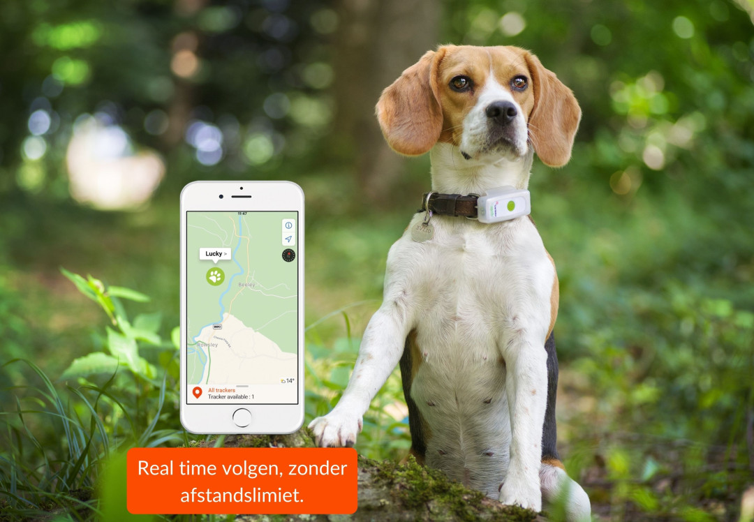 Weenect Dogs 2 GPS Tracker